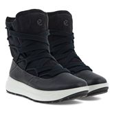  Solice (Negro)
