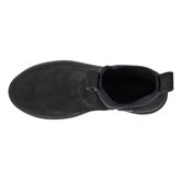  Solice (Negro)