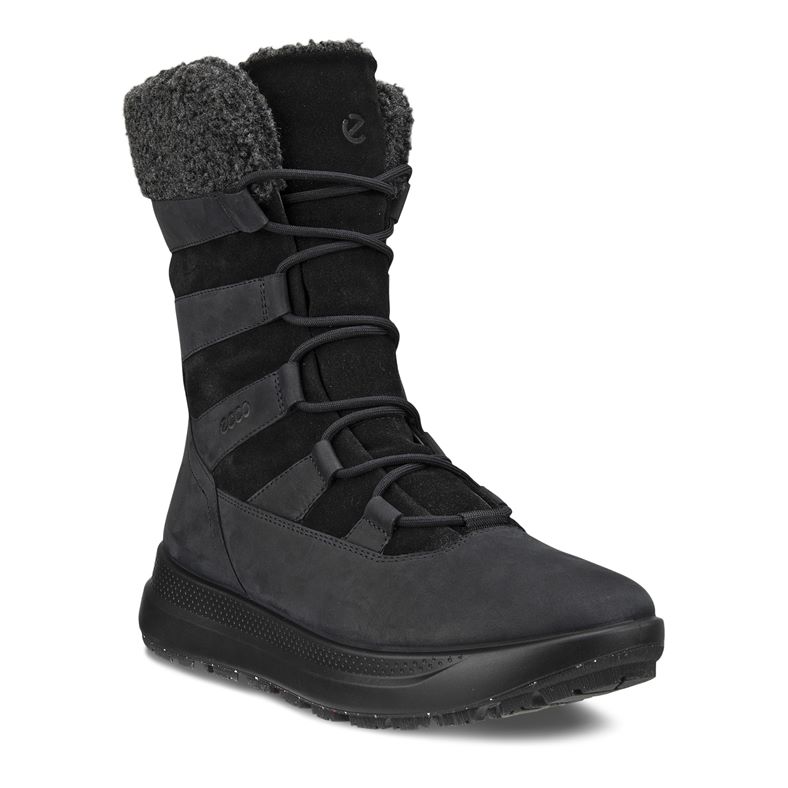  Solice (Negro)