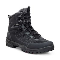  Xpedition III W (Negro)