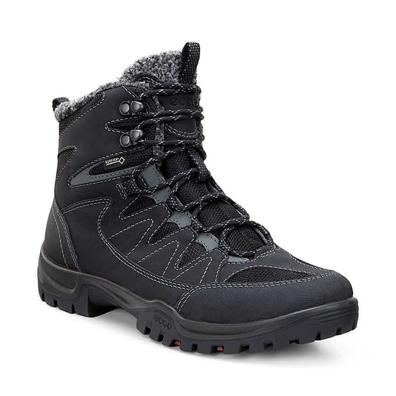  Xpedition III W (Negro)