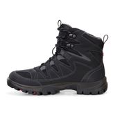  Xpedition III M (Negro)