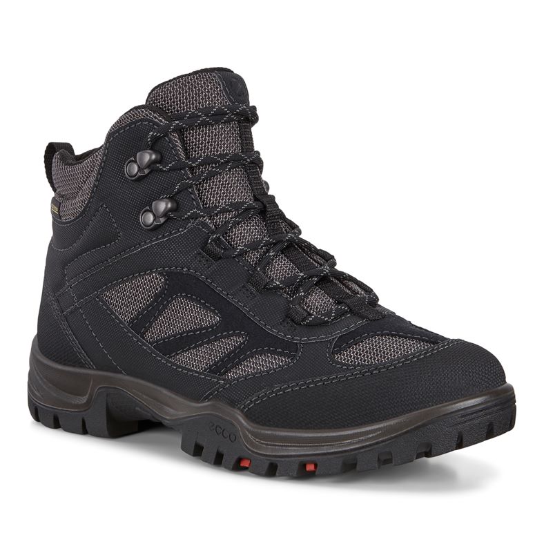  Xpedition III W (Negro)