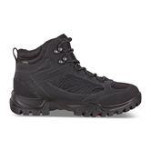  Xpedition III M (Negro)