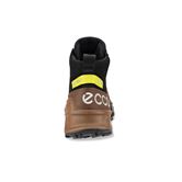  Biom 2.1 X Mountain M (Marrón)