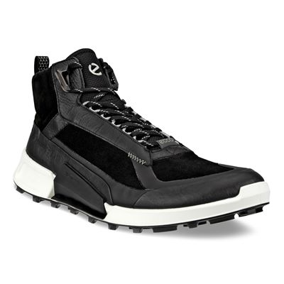  Biom 2.1 X Mountain M