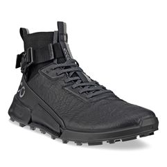  Biom 2.1 X Mountain M