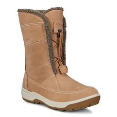  Trace Lite