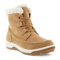  Trace Lite