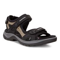  Offroad (Negro)