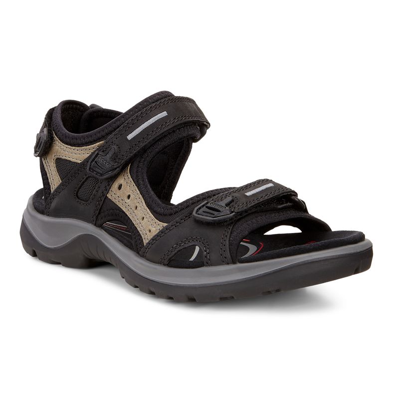  Offroad (Negro)
