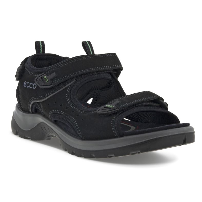  Offroad (Negro)