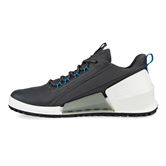  Biom 2.0 M (Gris)
