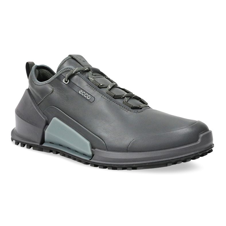  Biom 2.0 M (Gris)