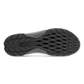 ECCO Golf BIOM H4 (Negro)