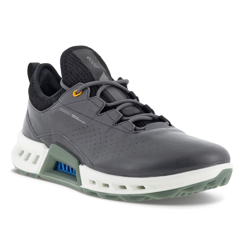 ECCO Golf BIOM C4 (Gris)