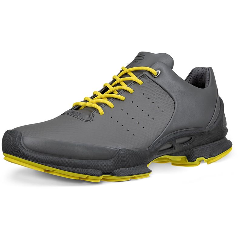 ECCO BIOM C M (Grey)