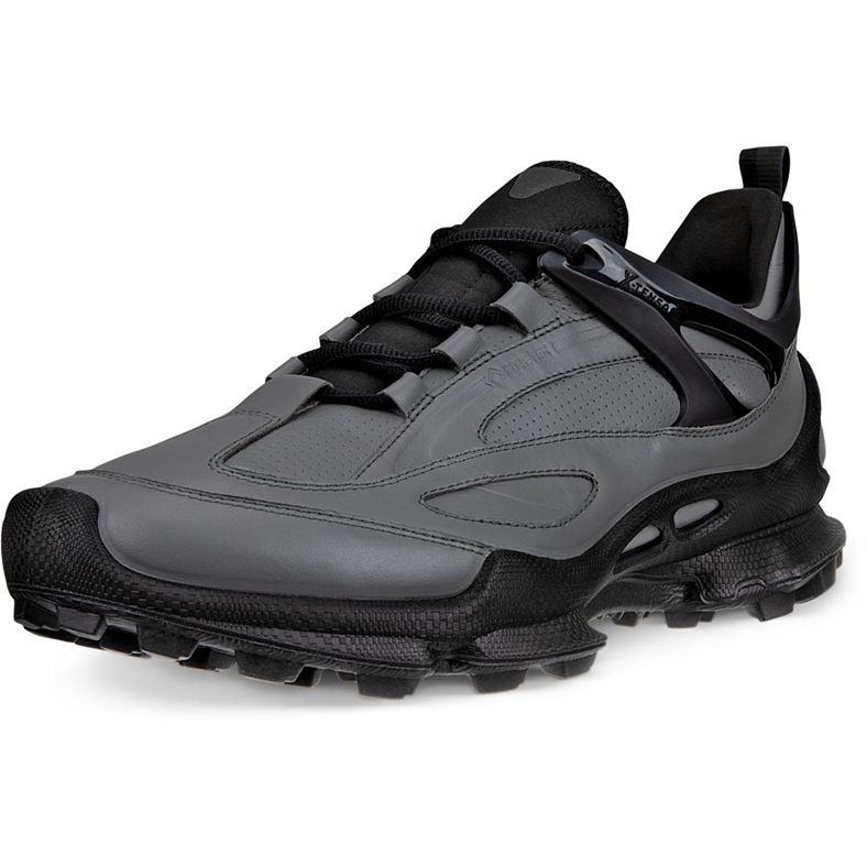 ECCO BIOM C-Trail M (Grey)