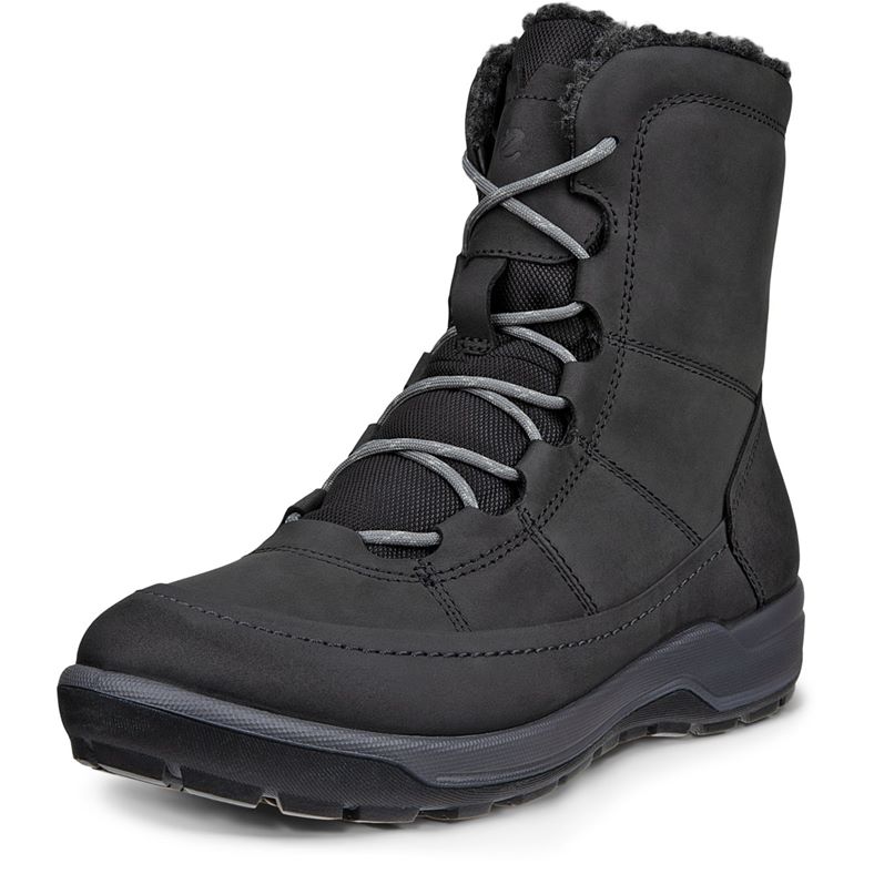 ECCO Trace Lite (Black)