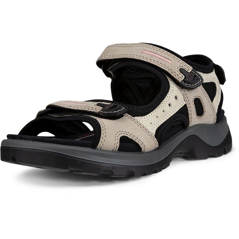  Offroad (Beige)