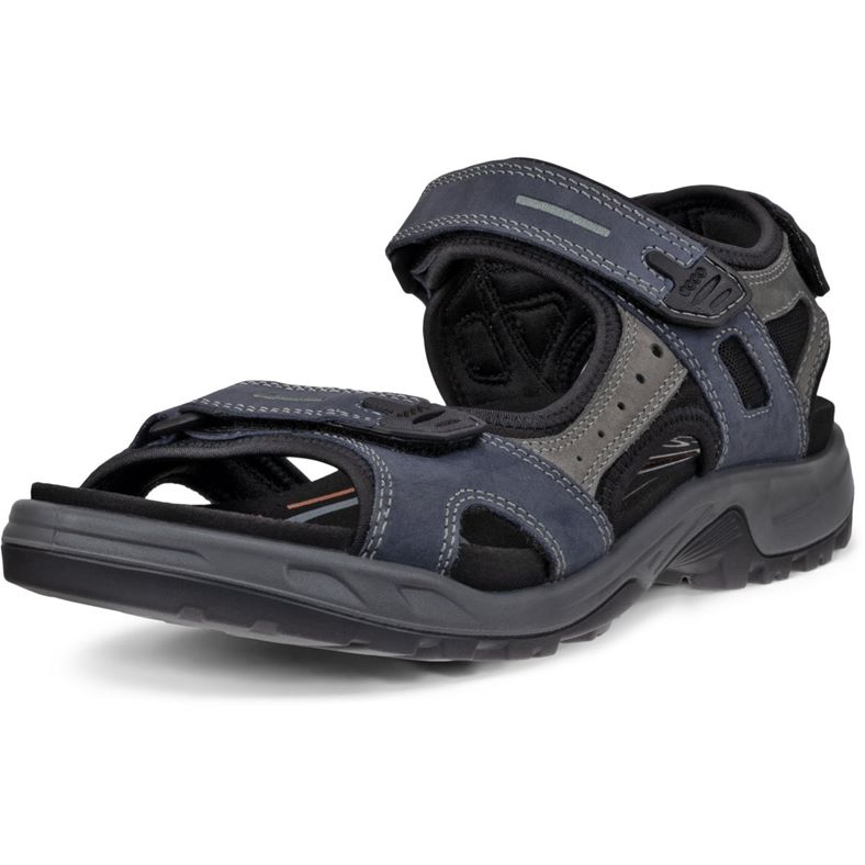  Offroad (Blue)