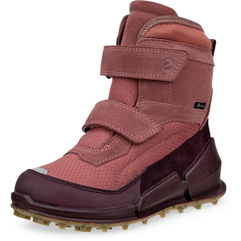 ECCO BIOM K2 (Red)