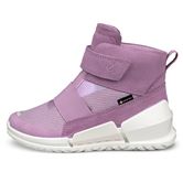 ECCO BIOM K1 (Purple)
