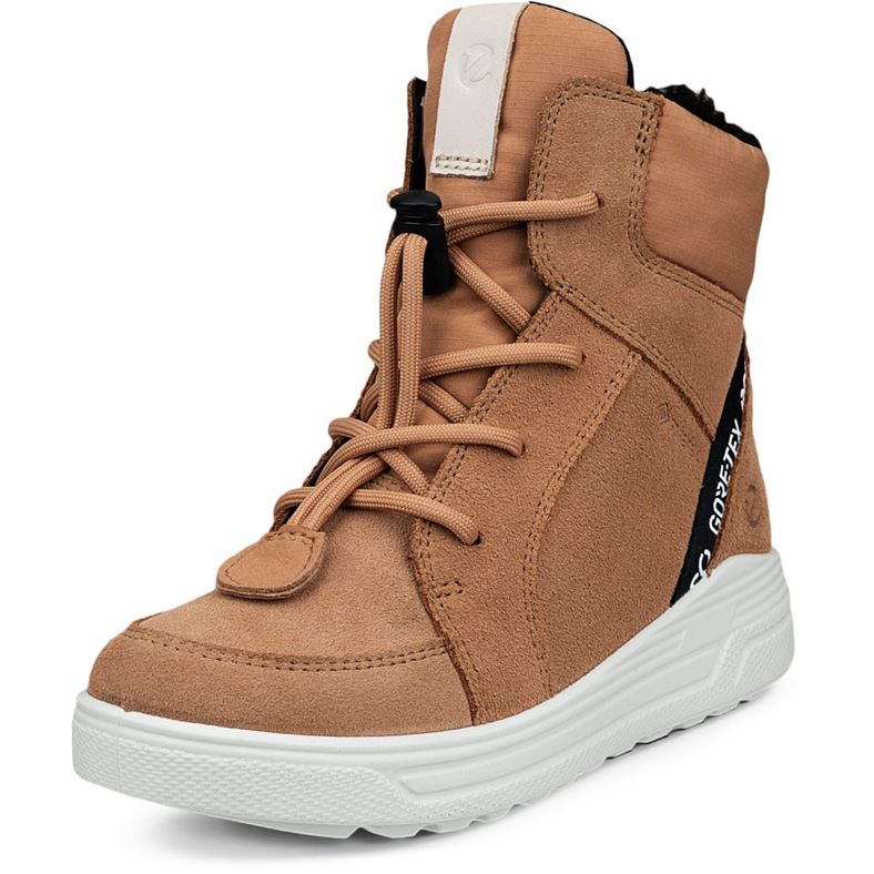 ECCO Urban Snowboarder (Brown)