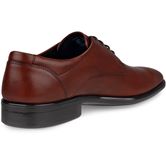  Citytray (Brown)