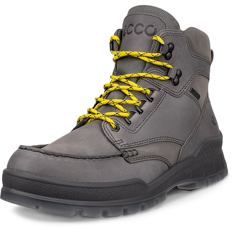 ECCO Track 25 M (Grey)