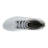 ECCO Golf BIOM H4 (Grey)