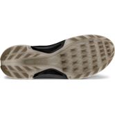 ECCO Golf BIOM H4 (Grey)