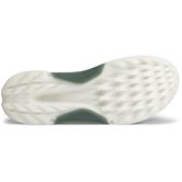 ECCO Golf BIOM H4 (Grey)