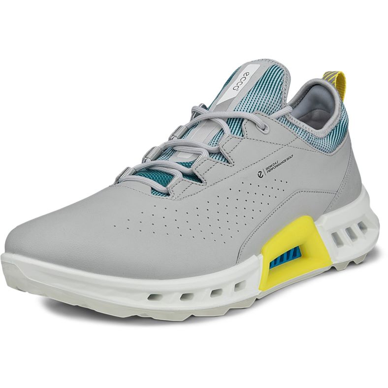 ECCO Golf BIOM C4 (Grey)