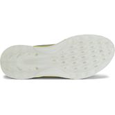 ECCO Golf BIOM C4 (Grey)