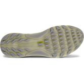 ECCO Golf BIOM C4 (White)
