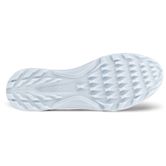 ECCO Golf BIOM C4 (Blue)