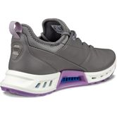 ECCO Golf BIOM C4 (Grey)