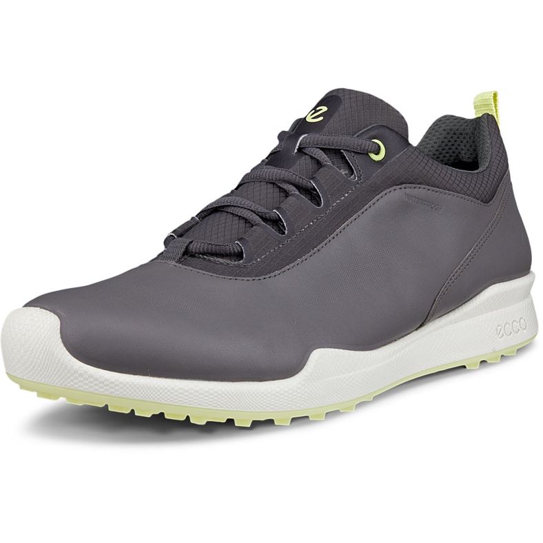ECCO Golf BIOM Hybrid (Grey)