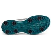 ECCO Golf BIOM Tour (Grey)