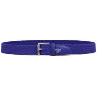  Golf (Blue)