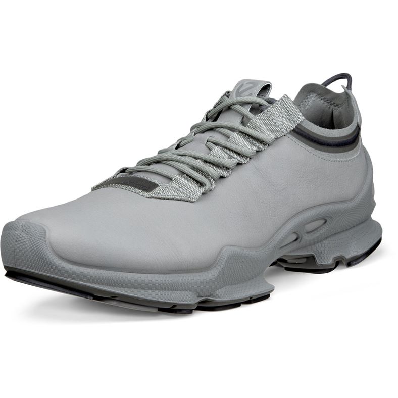 ECCO BIOM C M (Grey)
