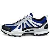 ECCO BIOM C-Trail M (Blue)