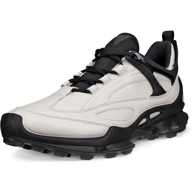 ECCO BIOM C-Trail M (Grigio)