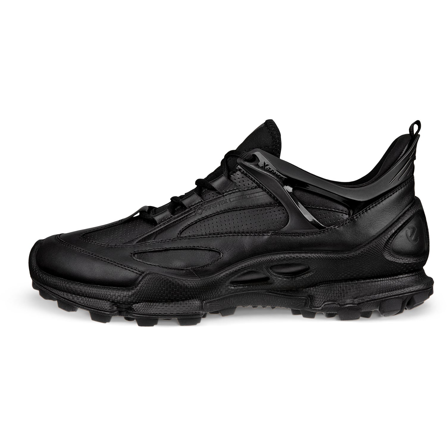 Men's ECCO® Biom 2.2 Leather Gore-Tex Sneaker | Black