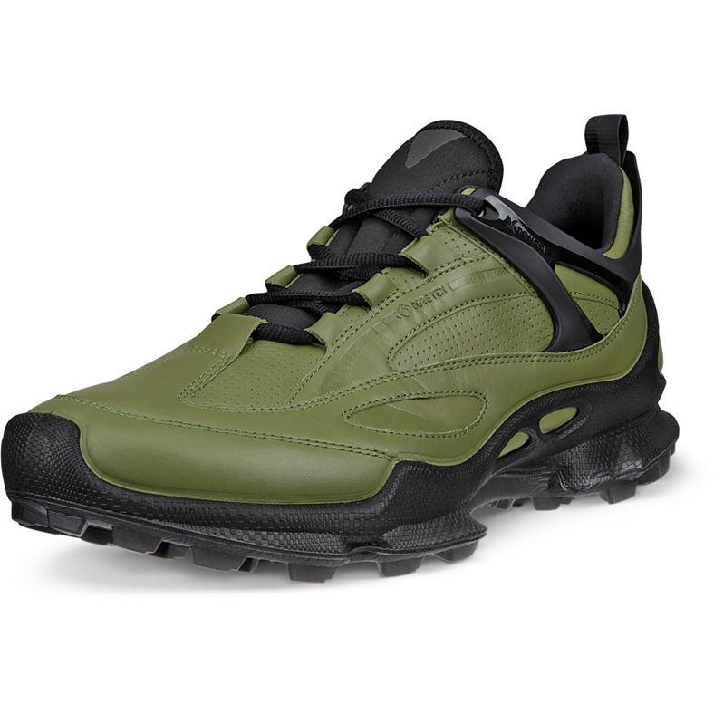 ECCO BIOM C-Trail M (Verde)