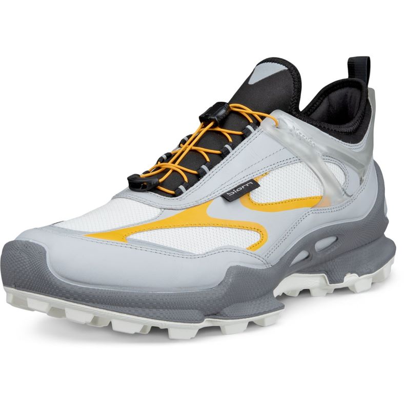 ECCO BIOM C-Trail M (灰色)