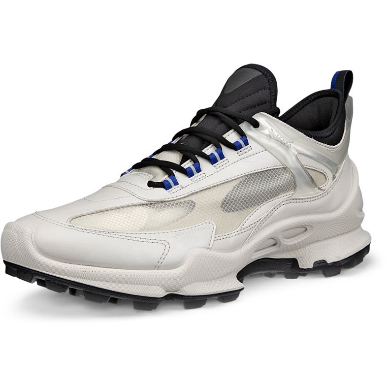 ECCO BIOM C-Trail M (Grigio)