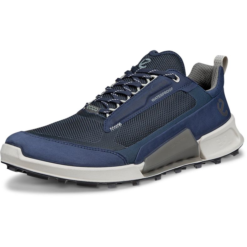ECCO BIOM 2.1 X Mountain M (Blue)