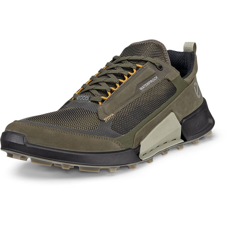 ECCO BIOM 2.1 X Mountain M (Green)